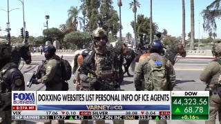ICE agent reveals toll of being doxed online