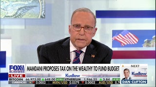 Mamdani has ‘no experience running a big organization’: NY gubernatorial candidate