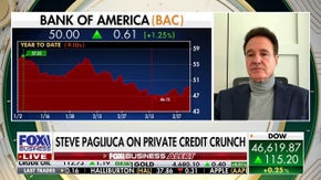 We're seeing an 'overreaction' about private credit worries: Steve Pagliuca - Fox Business News