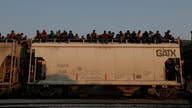 Mexico has to seal their southern border: Border & Commerce Security Council president