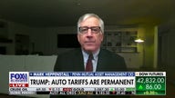Expert weighs ‘murky’ forecast on auto tariffs and its impact on US economy