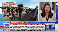 GOP senator tears into 'weak' leaders as she introduces bill allowing local police to help ICE agents