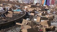 Thieves looting packages from freight trains in Los Angeles