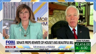 GOP senator goes after Trump’s big bill, warns it is ‘not beautiful’
