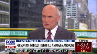 Healthcare CEOs should be speaking out about the problems Obamacare caused: Andy Puzder - Fox Business Video