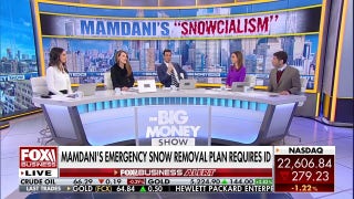 NYC’s snow shoveling requirements stir debate over voter ID laws