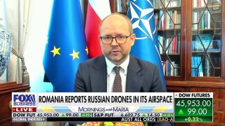 Polish official Marcin Przydacz says Russian drones in NATO skies were deliberate, not a mistake