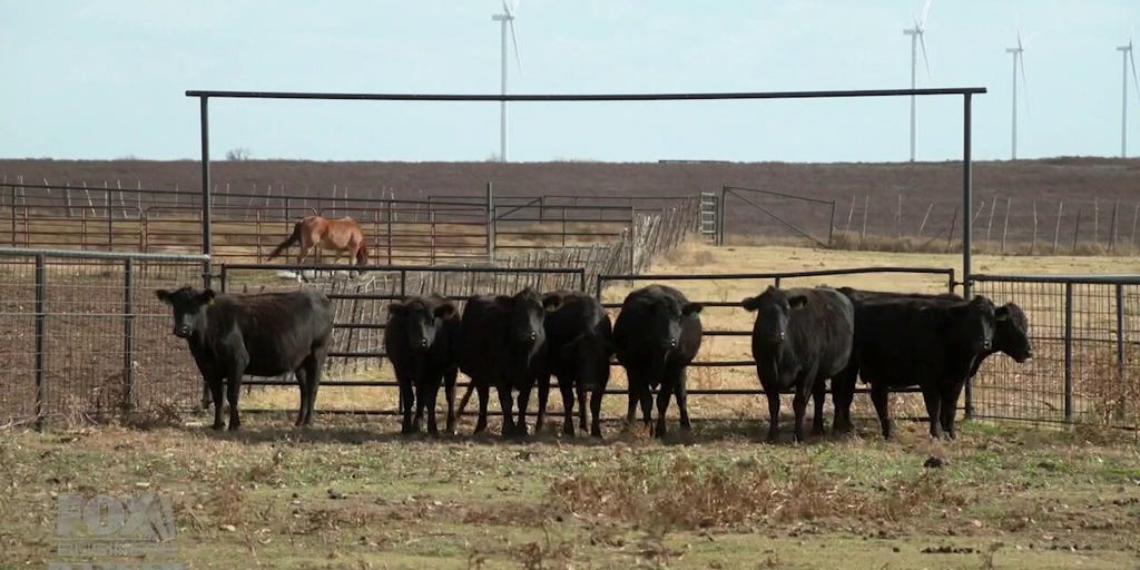 Meet the cowboys of Bergen Ranch | Fox Business Video