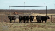 Meet the cowboys of Bergen Ranch