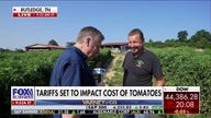 US farmers call out 'unfairly priced' tomatoes as tariff set to take effect