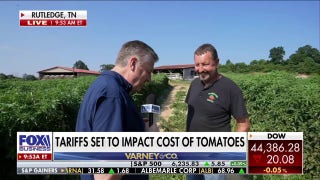 US farmers call out 'unfairly priced' tomatoes as tariff set to take effect