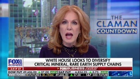 CEO details &lsquo;long and torturous&rsquo; journey to catch the US up with China in rare earth metal supply - Fox Business News