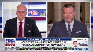 Ted Cruz reveals plan to give children a financial future from birth