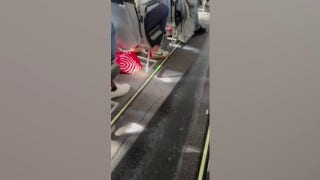 Passengers 'horrified' as liquid leaked down aisle - Fox Business Video