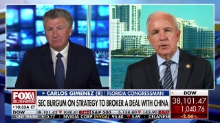 Democrats are 'grasping at straws' to stop Trump deportations, congressman says