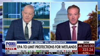 EPA plans to limit protections for wetlands