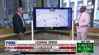 Investors grapple with momentum trade slowdown