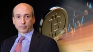 Crypto investors believe there could be standoff between Yellen, Gensler: Gasparino
