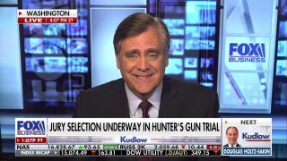  Jonathan Turley This is a great jury pool for Hunter Biden - Fox Business Video