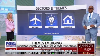 Not all all software companies are equally exposed to AI, investment expert argues