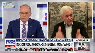 This country cannot be governed with radical Democrat policies: Newt Gingrich