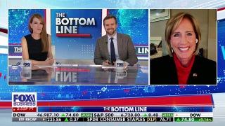 Trump has done everything he can to alleviate pain Dems are trying to inflict, GOP lawmaker says