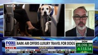 BARK Air bets big on luxury charter flights for dogs