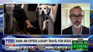 BARK Air bets big on luxury charter flights for dogs - Fox Business Video