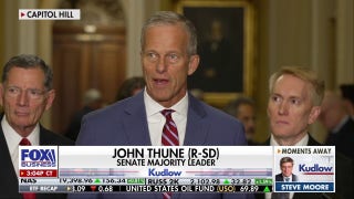 GOP Senate leader responds to Elon Musk's criticism of Trump's 'big, beautiful bill'