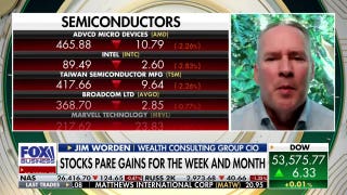 Expert says Nvidia is cheap by typical metrics