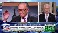 Schumer has no legitimate reason to block GOP funding bill, senator says
