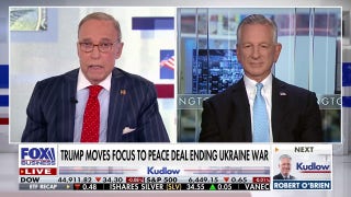 We need to get Russia thinking more about democracy, GOP lawmaker says