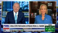Arkansas Lt. gov. defends Trump’s trade tactics: ‘We shouldn’t be beholden to Communist China’