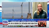 Report: Trump administration to probe offshore wind farms