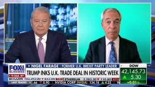 US-UK trade deal a 'good solid start,' Farage says