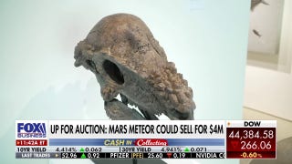 Mars meteor that landed on Earth selling for $4 million at NYC ‘swanky science fair’