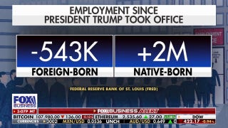Jobs report shows American-born workers account for all of the job gains since Trump took office