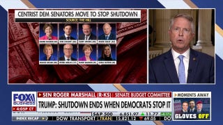 Senate is 'reaching an inflection point' in talks to stop shutdown, GOP senator says