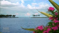 New England couple finds dream tropical house in St. Petersburg, Florida