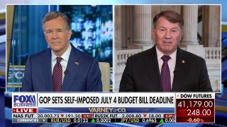 Senator says GOP will pass Trump's 'beautiful' tax bill: 'Failure not an option'