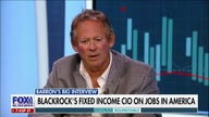 People have underestimated how strong the U.S. economy can be: Rick Rieder