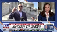 GOP senator calls out 'radical groups' involved in Dems' 'outrageous' demands