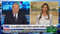 US and Mexico launch joint drills targeting cartels