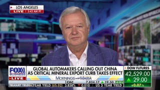 The entire world is ‘scrambling’ to find this critical mineral, expert warns