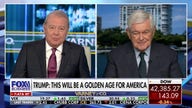 Trump is going to ‘break apart the swamp’ and ‘reset’ out government: Gingrich