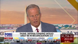 Thune reveals GOP midterm strategy as Democrats target key Senate seats