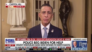 We should keep the American taxpayer from being 'ripped off,' says Rep. Darrell Issa - Fox Business Video
