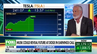 Market expert questions Musk-DOGE speculation at Tesla earnings call