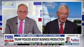 Newt Gingrich calls out the 'most militant, most aggressive and best organized' part of the Democratic Party