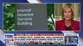Rep. Claudia Tenney calls to reduce the IRS: They're 'hurting our small business community' - Fox Business Video